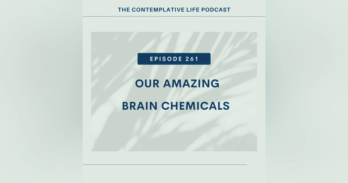 EP 261 Our Amazing Brain Chemicals