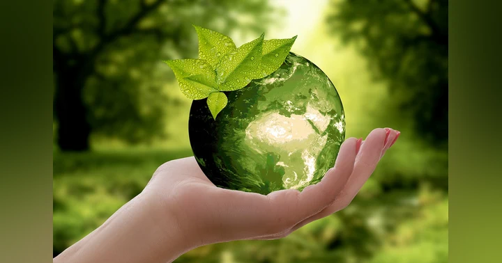 image for The Earth Caretaker Way