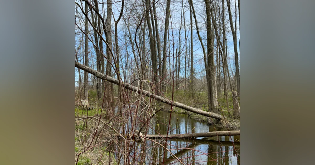 66. Spring To Do List