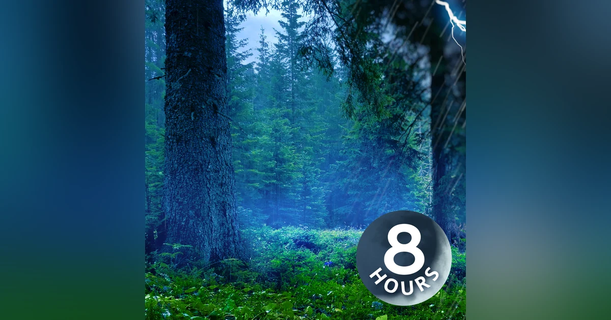 Thunderstorm for Sleep in Mystical Forest | 8-Hour Rainstorm and Thunder Sounds