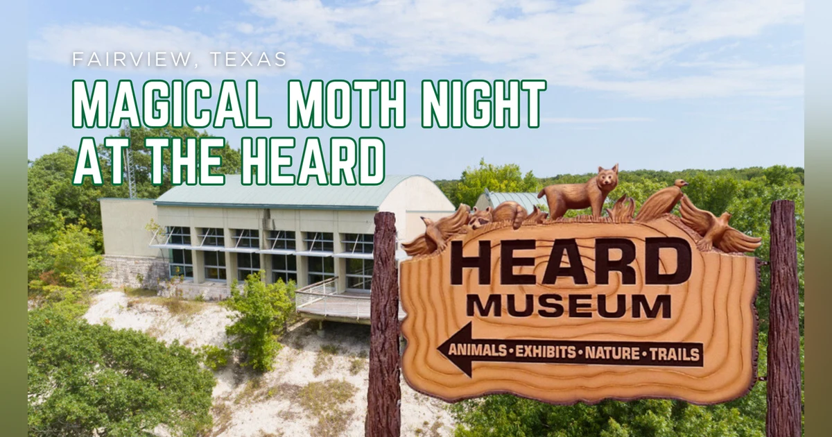 Discover the Magic of the Night at Heard Museum’s Magical Moth Night ...