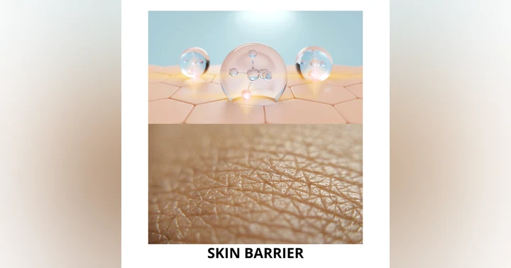 image for Skin Barrier Repair: What It Is, Why It Fails, and How to Restore It Effectively