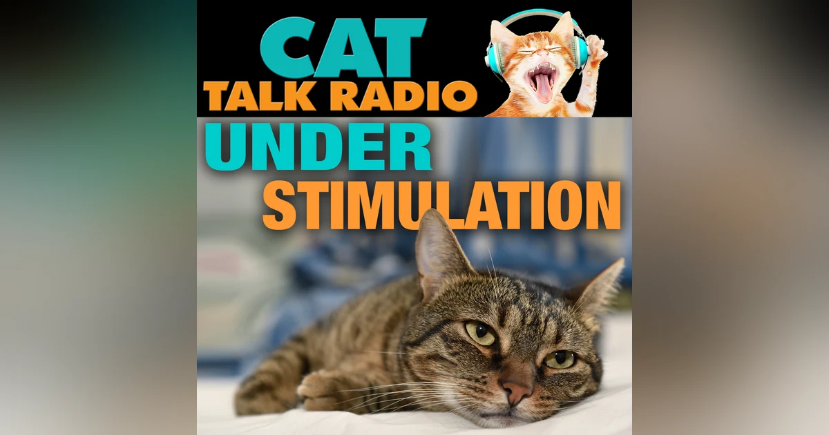 The Under-stimulated Cat