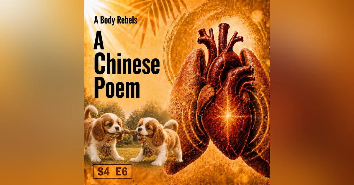 The Fake Chinese Song That Became a Chronic Illness Poem