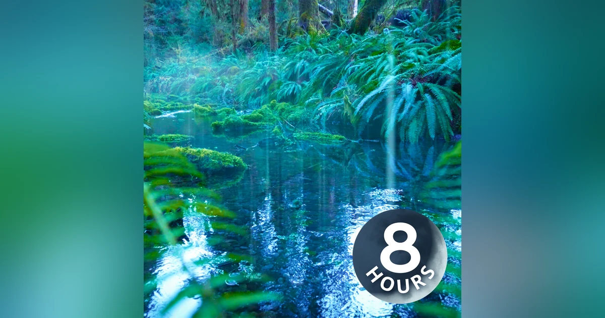 Rain Sounds for Sleeping + Water Sounds | White Noise 8 Hours
