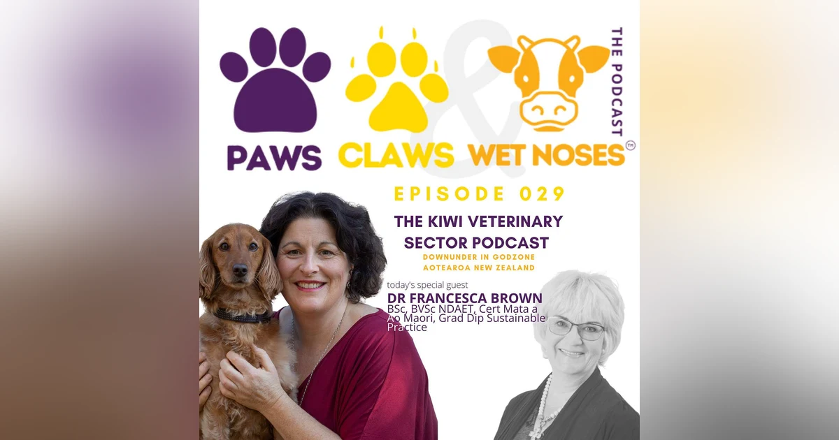 029 - Dr Francesca Brown - Healthy Vet Professionals = Healthy Vet Clinic Bottom Lines