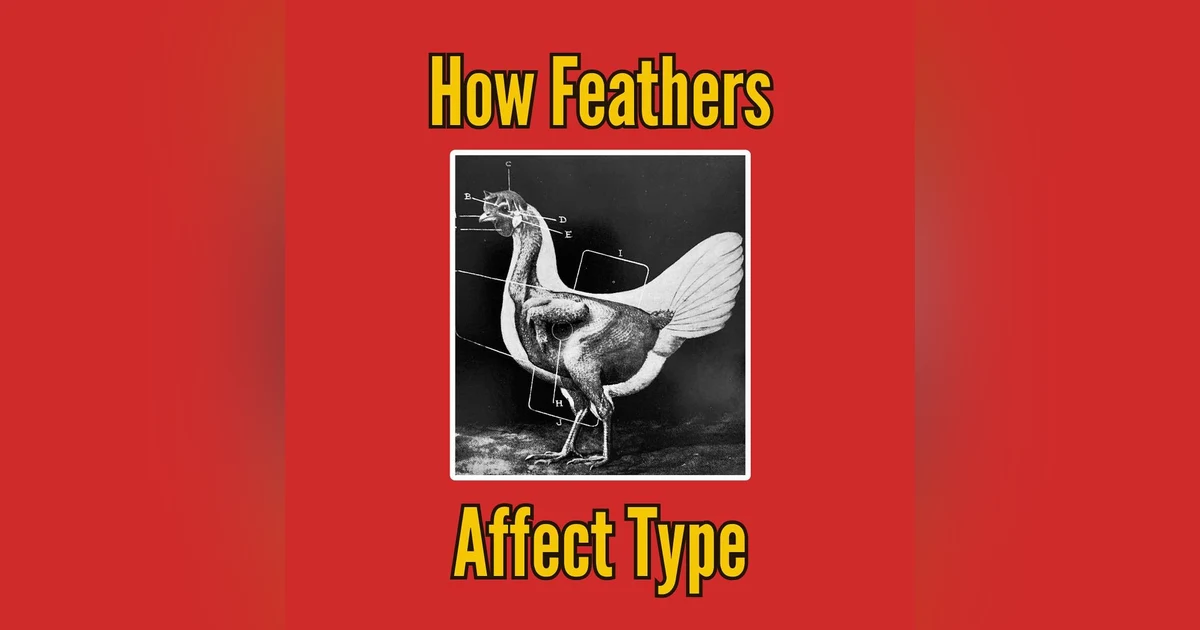 How Feathers Affect Type