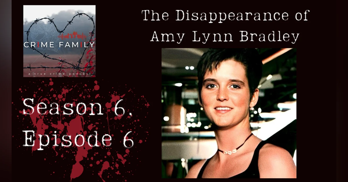 THE DISAPPEARANCE OF AMY LYNN BRADLEY