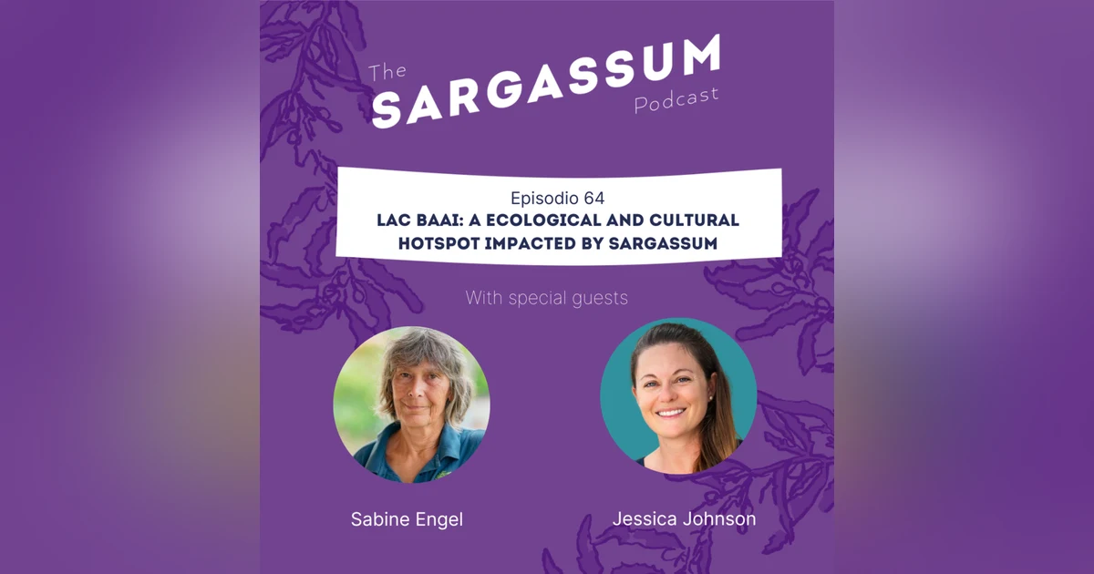 E64 Lac Baai: an ecological and cultural hotspot impacted by Sargassum