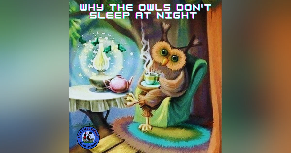 Why the Owls don't sleep at Night