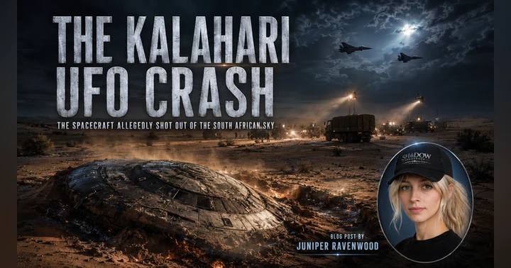 image for The Kalahari UFO Crash