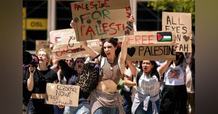 image for Balancing Activism and Academics: Strategies for Avoiding Expulsion
