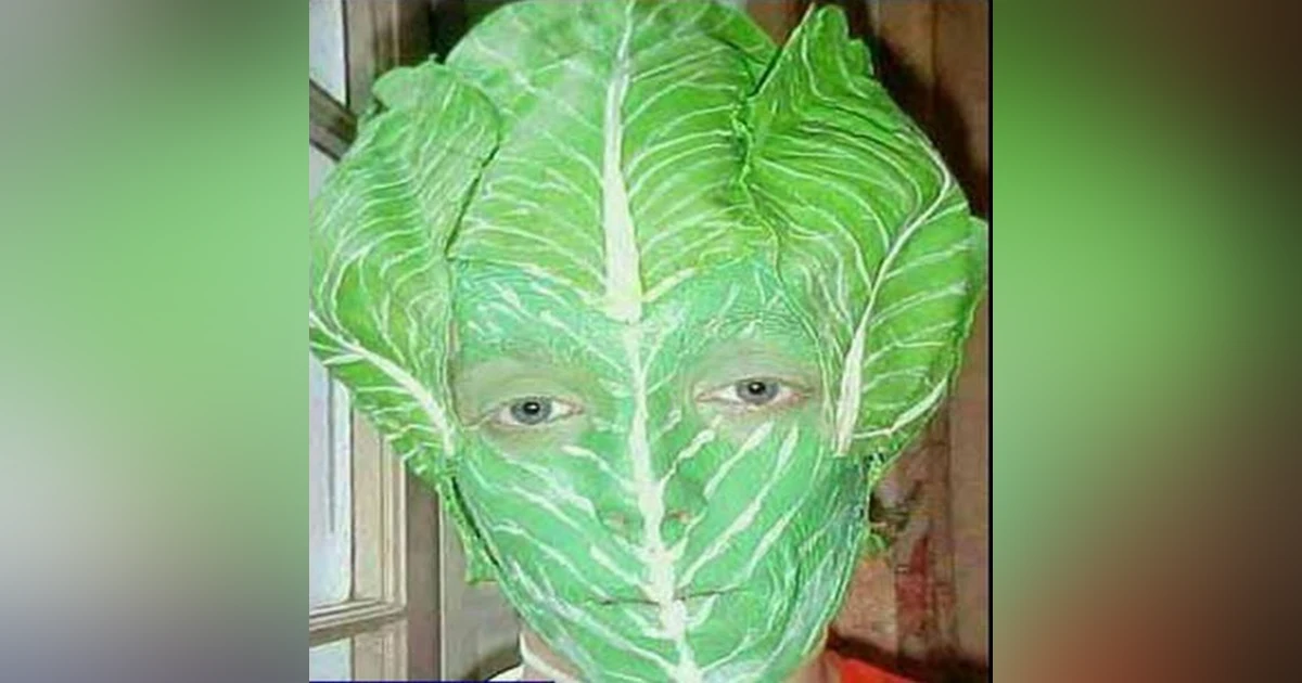 Pod 258 : Lettuce Heads