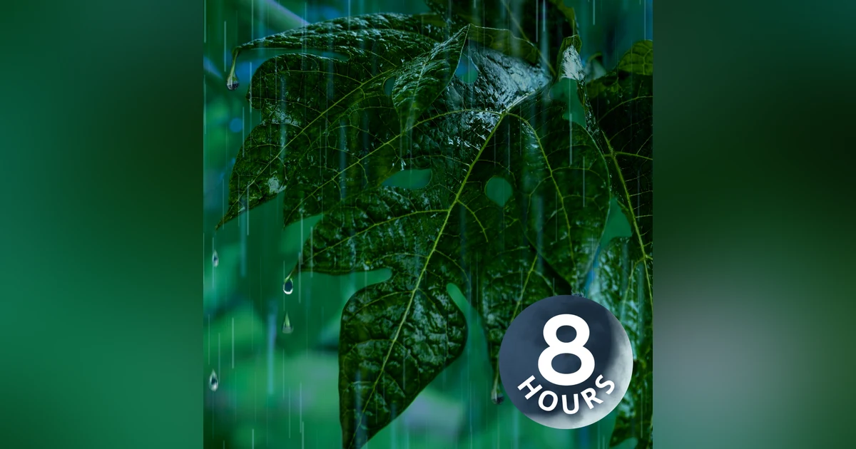 Heavy Rain Noise on Jungle Foliage Puts You to Sleep! | 8 Hours