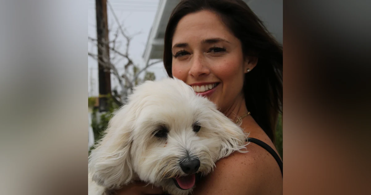 Understanding Pet Behavior; Denise Mange