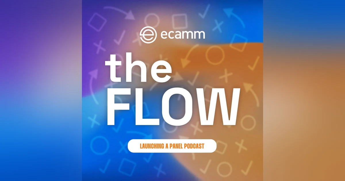 The Flow: Episode 15 - How to Start a Panel Discussion Styled Podcast