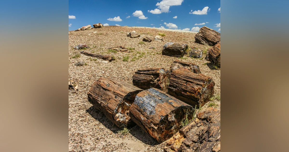 #161: Mailbag: Petrified Forest National Park and More!