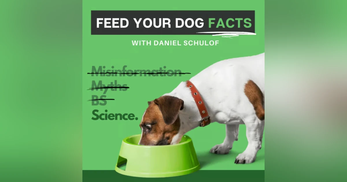 Exploring GLP-1s: A New Frontier in Pet Health