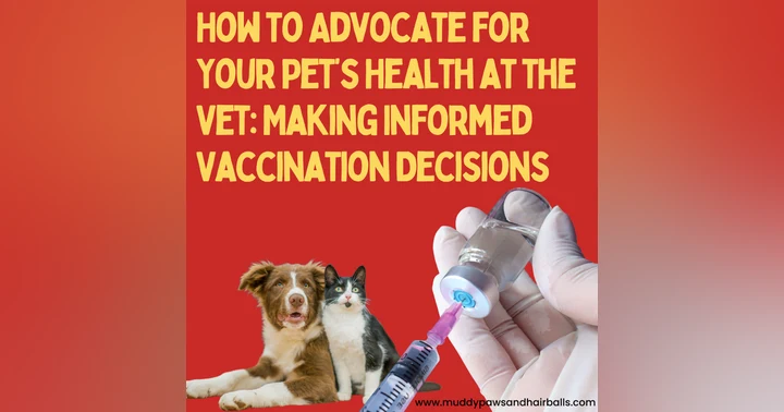 image for How to Advocate for Your Pet’s Health at the Vet: Making Informed Vaccination Decisions