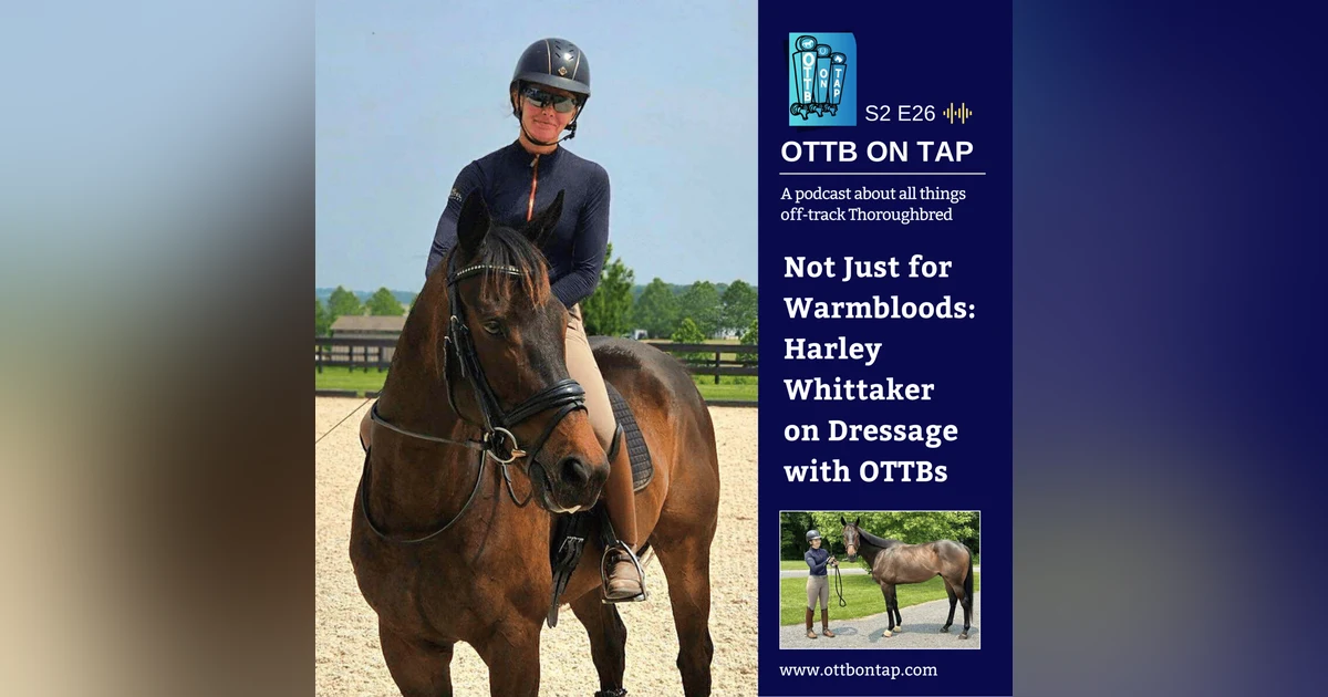 S2 E26: Not Just for Warmbloods: Harley Whittaker on Dressage with OTTBs