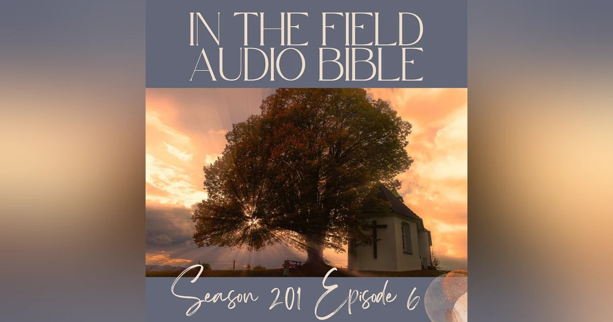 Come to Me: Jesus' Invitation for the Weary Soul