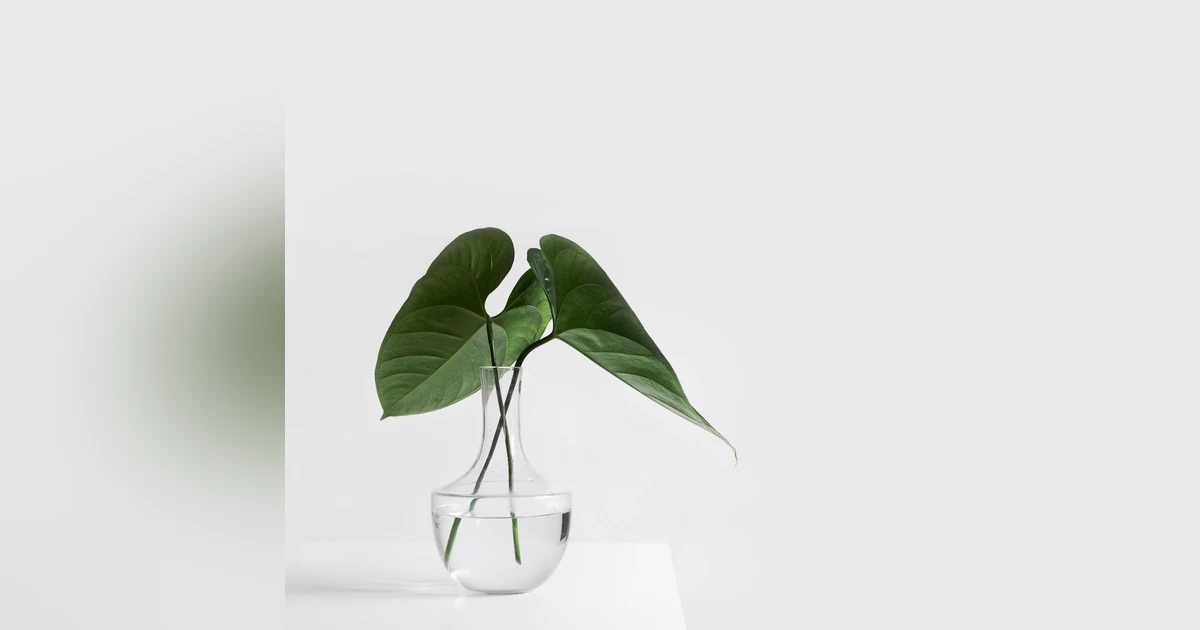 Less is More Part 1