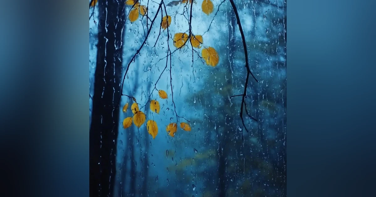 Rain Sound in Forest - Heavy Rain on Window for Fall Asleep in 3 Minutes - Relaxing Music