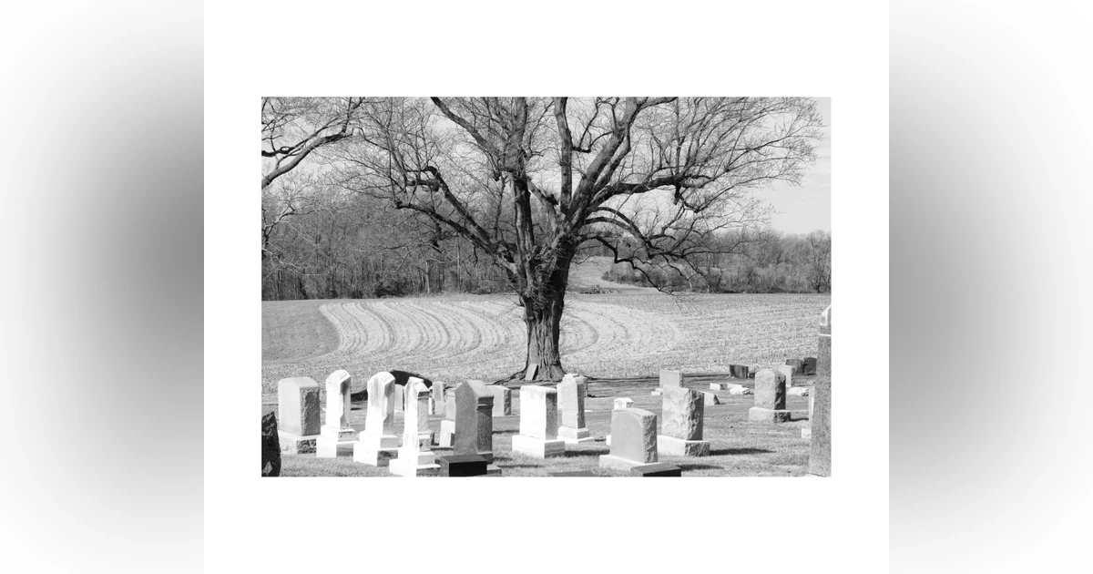 Everyday Buddhism 24 - Appreciating Life Through Death Meditation