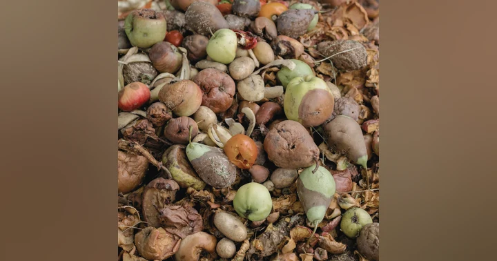 image for Reducing Food Waste in Hospitality: Practical Steps & Resources