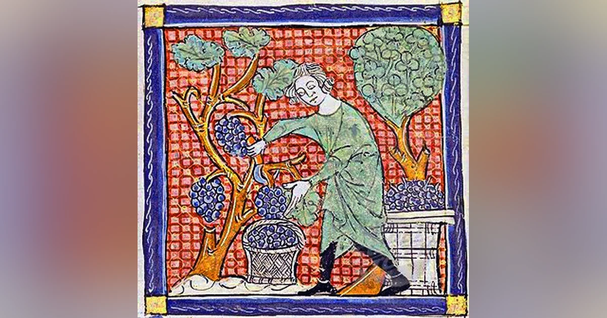 43 – The Medieval Transformation Part 5: Medicine and Mythology