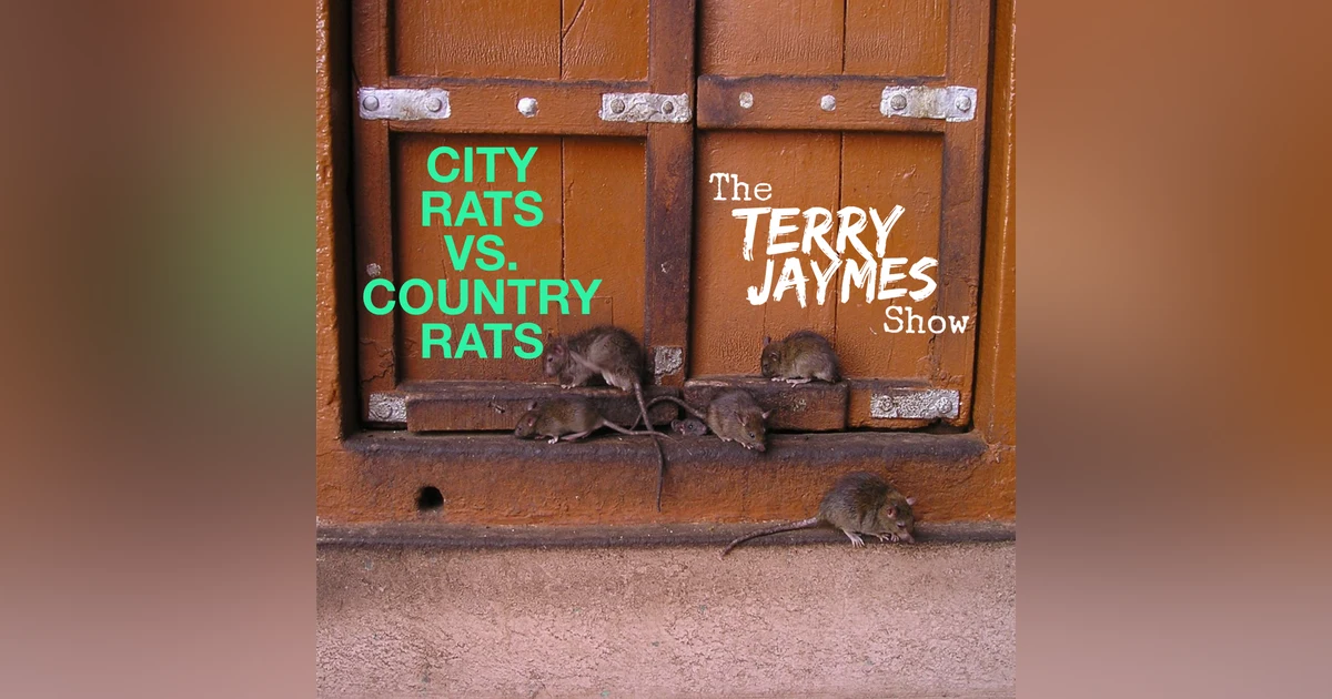 CITY RATS VS. COUNTRY RATS