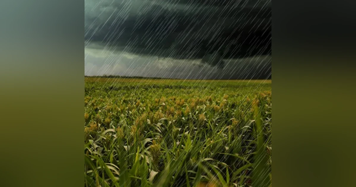 Sonido De Lluvia Para Dormir Con Truenos Fuertes ⛈️ Alivia El Estrés Y La Ansiedad Para Dormir