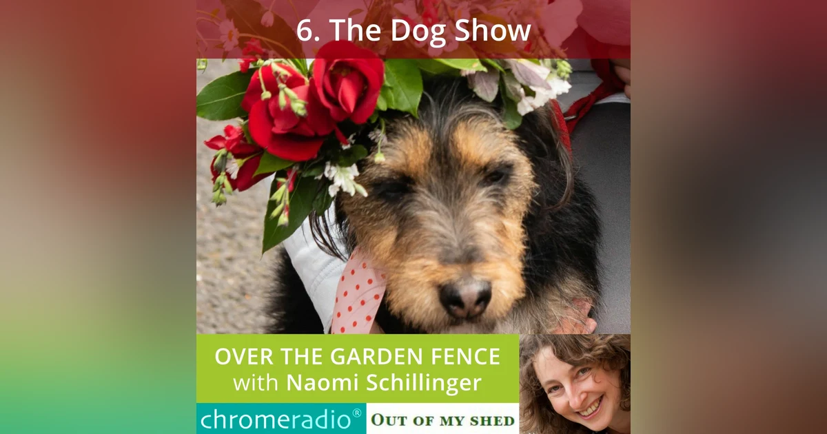 OVER THE GARDEN FENCE 6 | The Dog Show