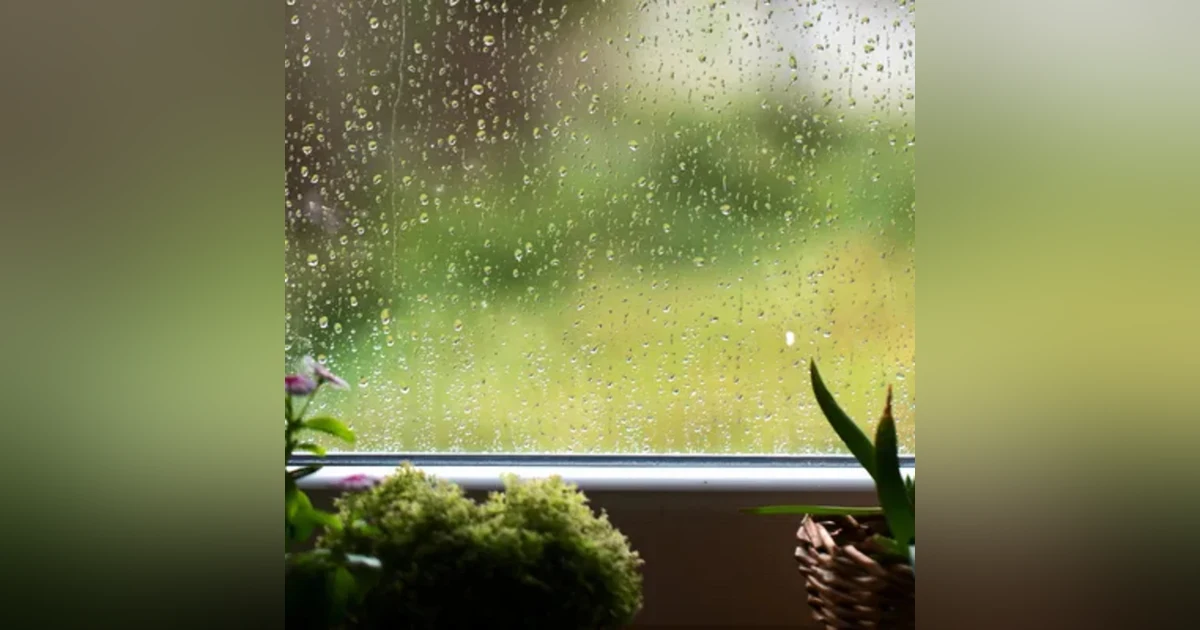 Sonido de lluvia, truenos y ríos . Relajante para dormir.