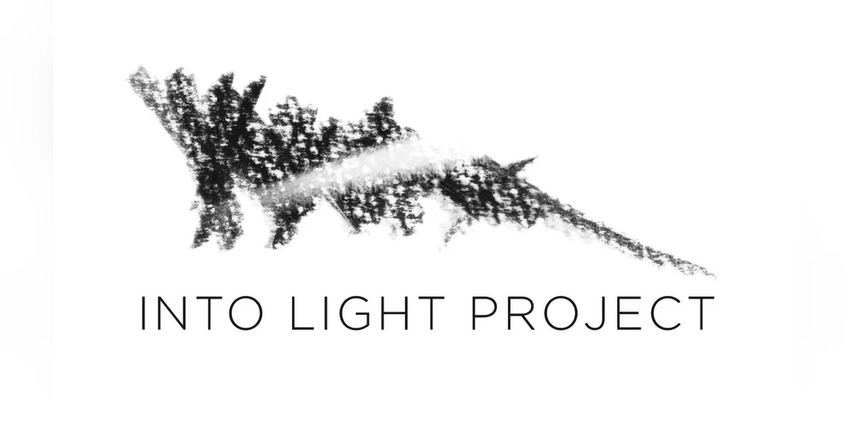 Into Light Project Using Art to Heal the Loss Theresa Clower and Debbie Simon