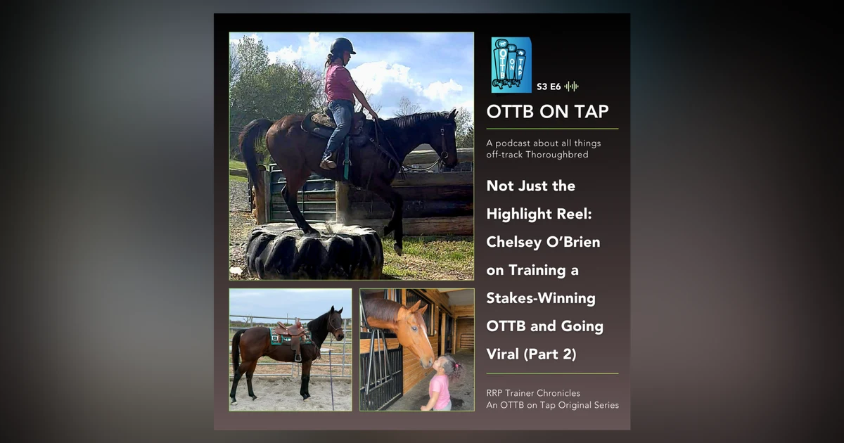 S3 E6: Not Just the Highlight Reel: Chelsey O’Brien on Training a Stakes-Winning OTTB and Going Viral (Part 2)