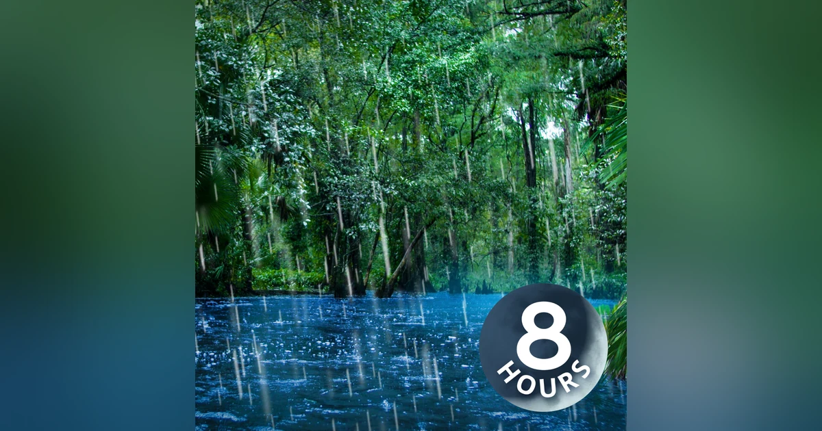 Sleep to Relaxing Raindrops + Water Sounds 8 Hours