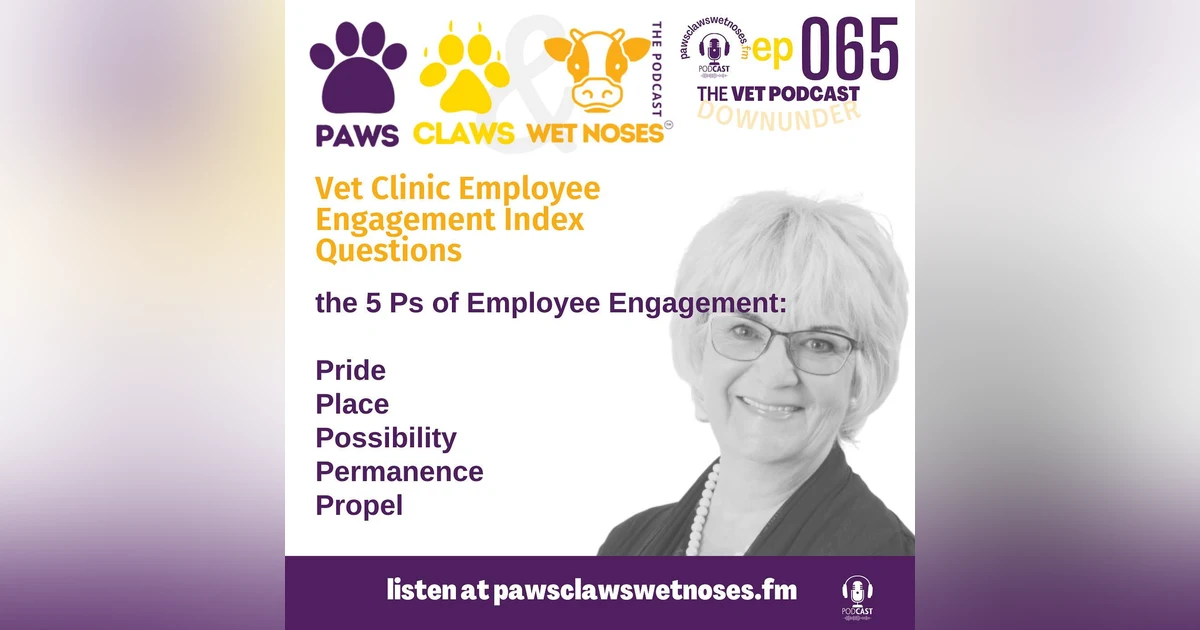 Vet Clinic Employee Engagement - the 5P questions - ep 065