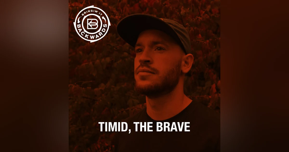 Interview with Timid, the Brave