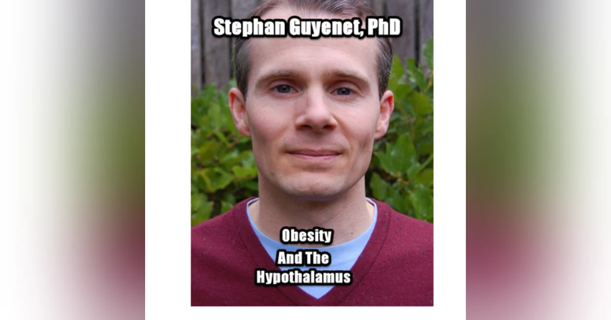 Obesity and the Hypothalamus with Stephan Guyenet, PhD