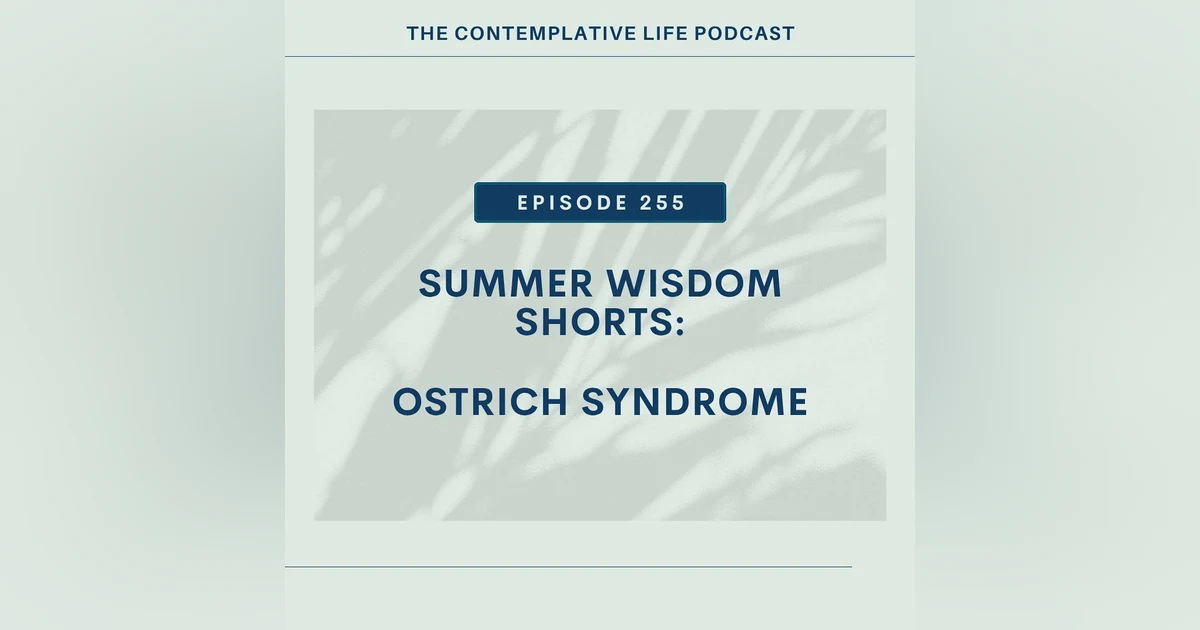 Ep 255 Summer Wisdom Shorts: Ostrich Syndrome