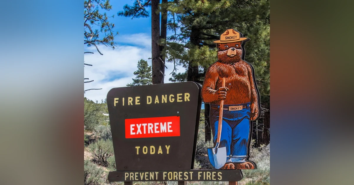 #82: Smokey Bear Has Never Been Hotter
