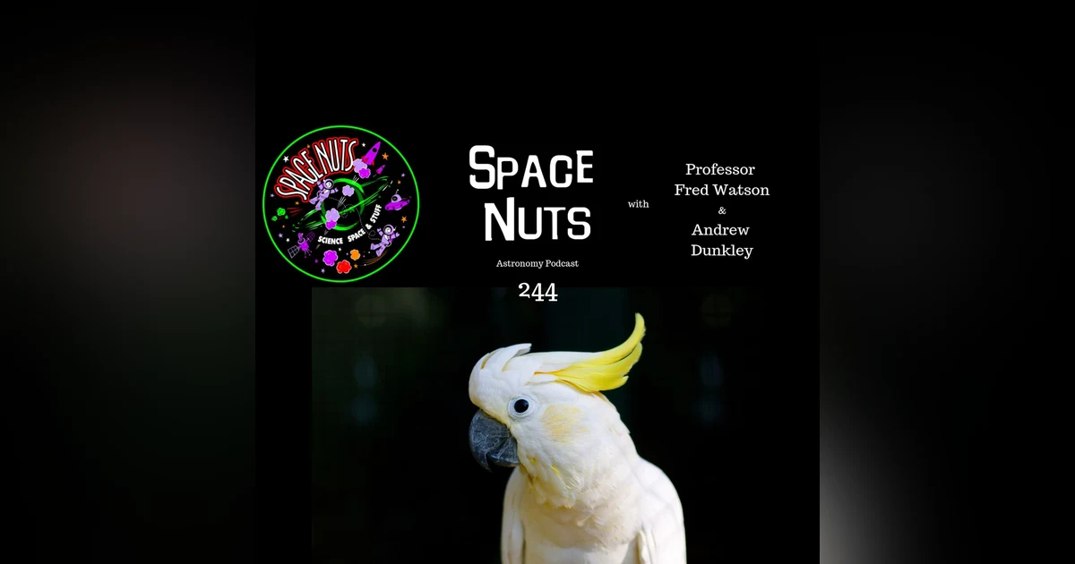 The One with the Cockatoo