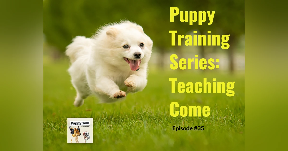 Puppy Training Series: Teaching Come