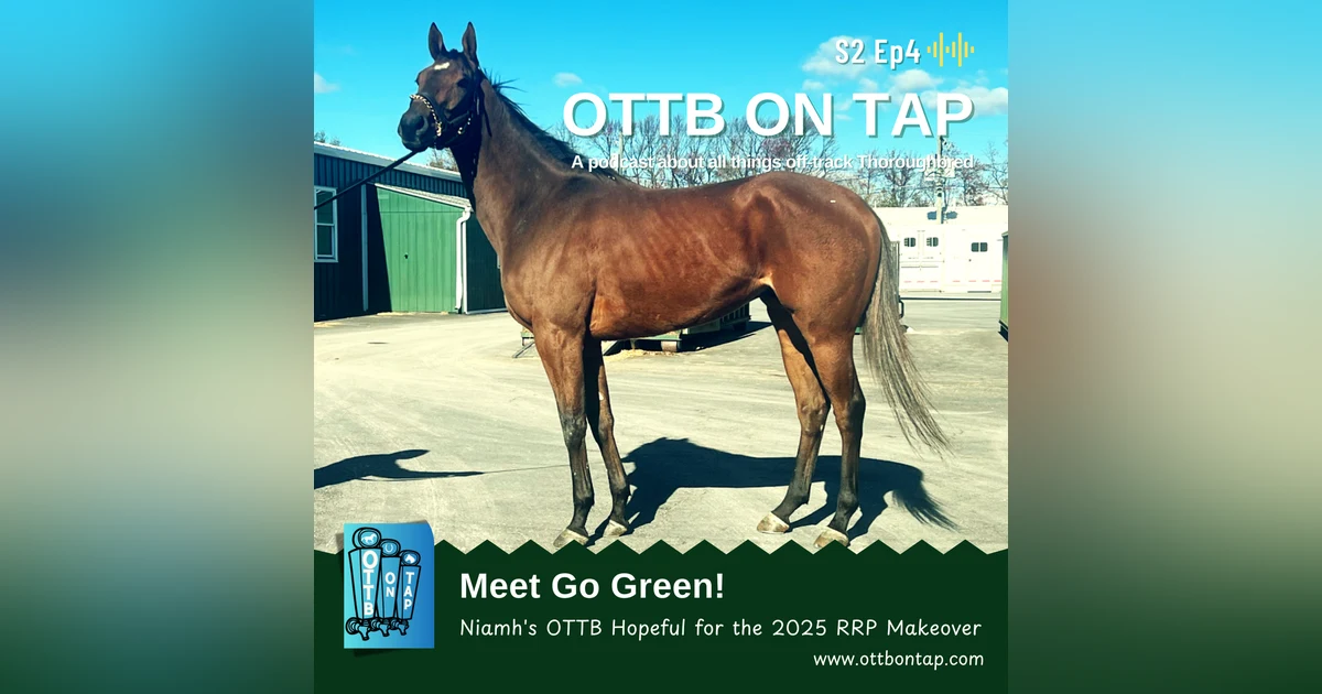 S2 E4: Meet Go Green: Niamh's OTTB Hopeful for the 2025 Retired Racehorse Makeover