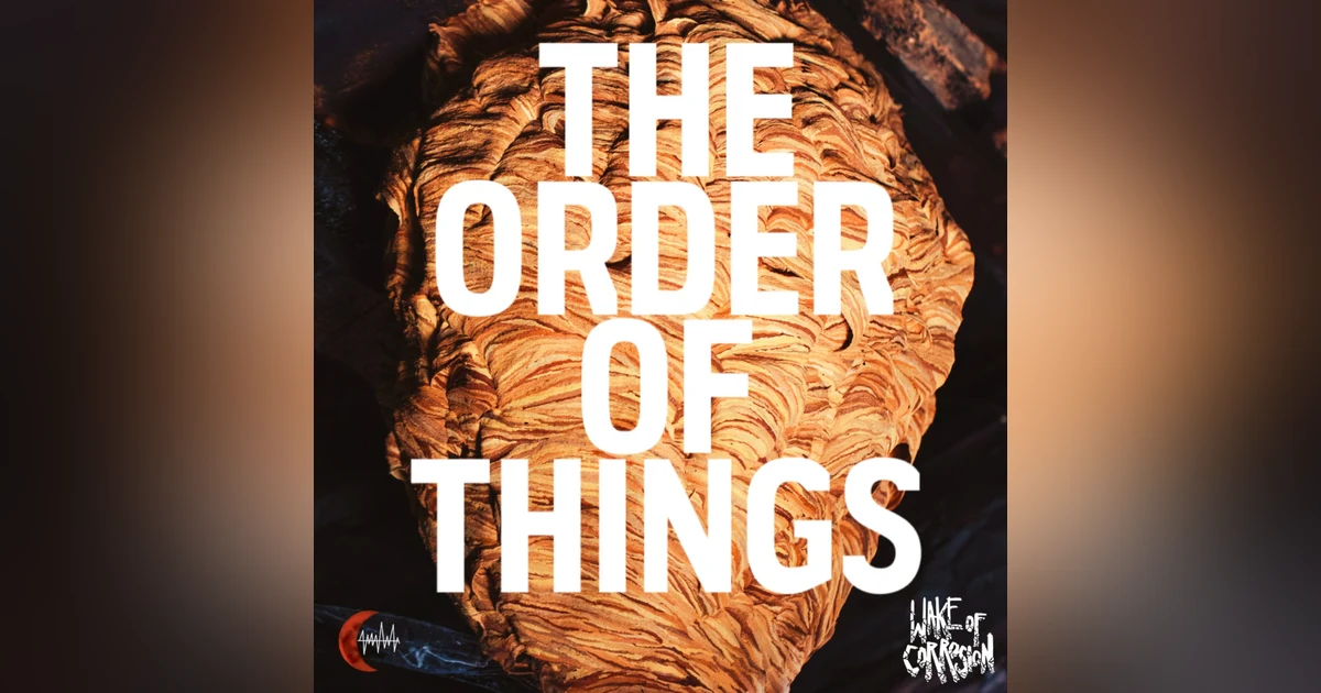 The Order Of Things - 4