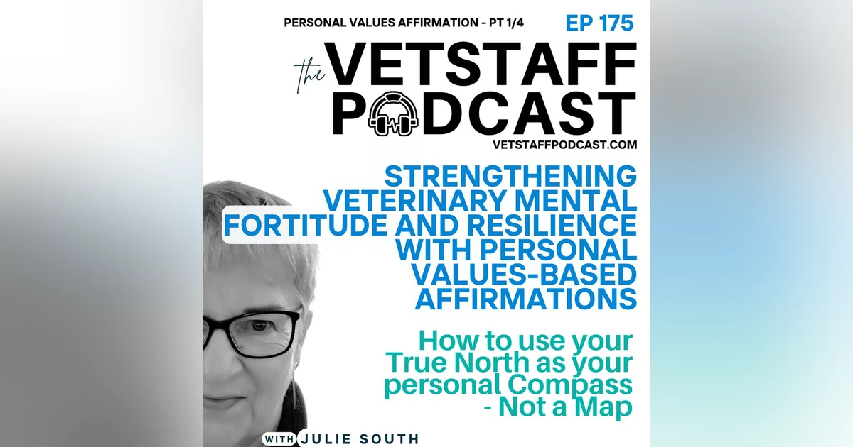 Strengthening Veterinary Mental Fortitude and Resilience with Personal Values-Based Affirmations - pt 1 of 4 - 175