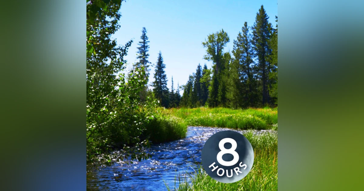 Water Sounds Alpine Creek | Relax, Study or Sleep with Nature White Noise 8 Hours