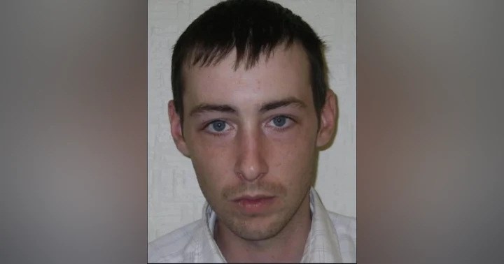 image for The Unsolved Mystery of Dean Roche: A Decade-Long Search for Truth