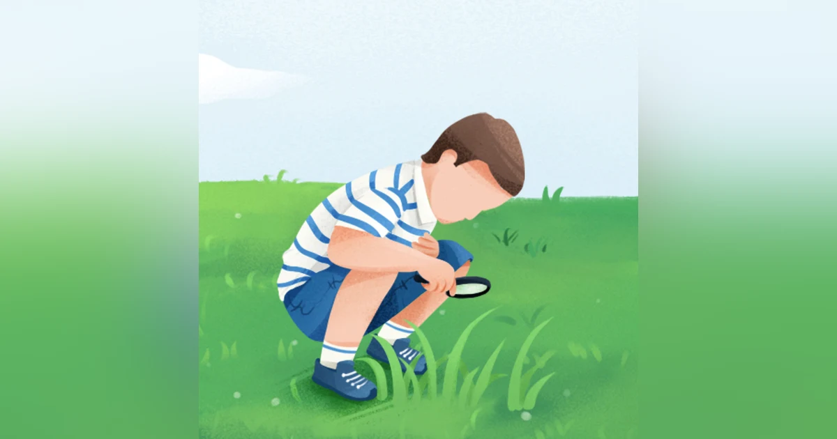 How Children Learn, by John C. Holt (education, parenting, homeschooling))